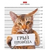 Тетрадь 48 л.A5 клетка Хатбер Кот-обормот