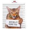 Тетрадь 48 л.A5 клетка Хатбер Кот-обормот