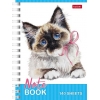 Записная книжка на спирали A6 140 л.Хатбер Котики бывают разными