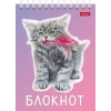 Блокнот на спирали 40 л.A6 Хатбер Котики бывают разными