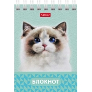 7121
