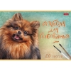 Альбом для рисования 20 л.A4 Хатбер Наши верные друзья