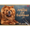 Альбом для рисования 20 л.A4 Хатбер Наши верные друзья