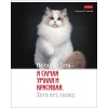 Тетрадь 48 л.A5 клетка Хатбер Котоюмор